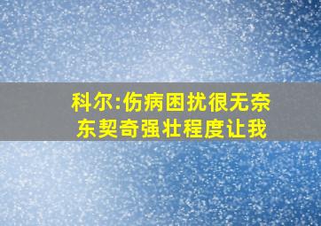 科尔:伤病困扰很无奈 东契奇强壮程度让我